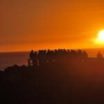 cambria2012_0259 (November 03, 2012)